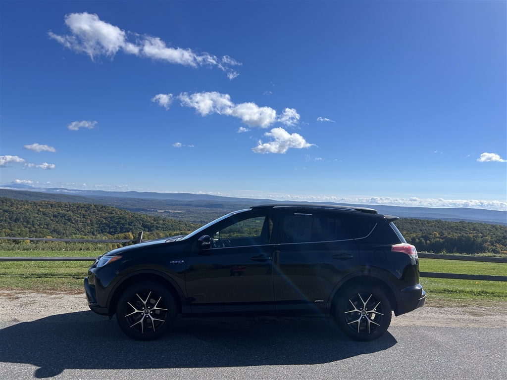 2018 Toyota RAV4 SE